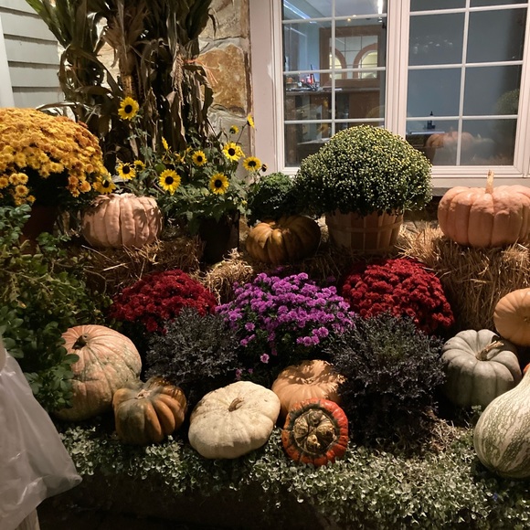 Halloween BOO Luminary - Picture 5 of 8